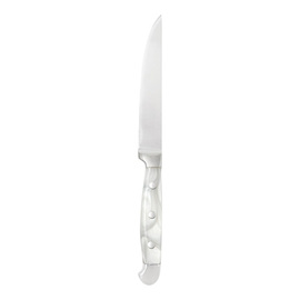 Steakmesser | glatter Schliff Acrylgriff perlmuttfarben L 240 mm Produktbild