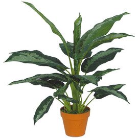 Deko-Kunstpflanzen, Pataaya Beauty, naturgetreu, echtwirkend, ohne Übertopf, Höhe: 40 cm Produktbild