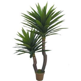 Deko-Kunstpflanzen, Yuccapalme, naturgetreu, echtwirkend, ohne Übertopf, Höhe: 145 cm Produktbild