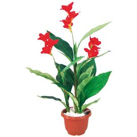 Deko-Kunstpflanzen, Canna Lilie, naturgetreu, echtwirkend, ohne Übertopf, Höhe: 100 cm Produktbild