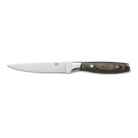 Steakmesser CARLOS Edelstahl Pakkaholz braun L 250 mm | Klingenlänge 130 mm Produktbild