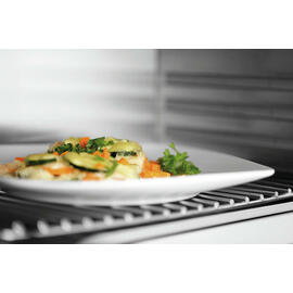 Salamander 401-1Z-W mit 1 Rost | Infrarotstrahlung | 1 Heizzone | 2000 Watt | 610 mm x 305 mm H 280 mm Produktbild 3 S