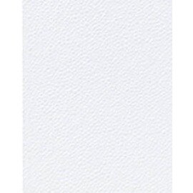 Spender-Servietten 1-lagig weiß 36 x 300 Stück Produktbild