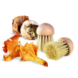 Pilzbürste Borsten aus Naturmaterial  Ø 40 mm Produktbild 2 S