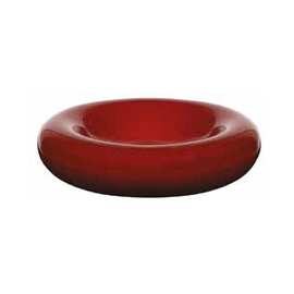 Gourmetschale CARMIN | Steingut | rot Ø 203 mm H 50 mm Produktbild