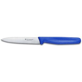 Gemüsemesser mittelspitz glatter Schliff | blau | Klingenlänge 10 cm Produktbild