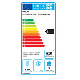 Kühltisch UGN 2100 TN | 170 ltr | 2 Volltüren Produktbild 1 L