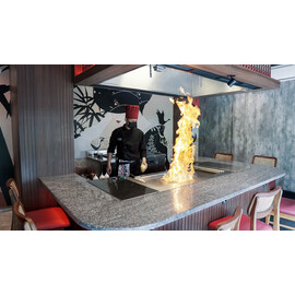 Teppanyaki Gas 3 Heizzonen | Grillfläche Maße 1200 x 550 mm | Brenneranzahl 3 Produktbild 4 S