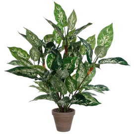 Kunstpflanze Goldfruchtpalme Dieffenbachia mit Übertopf H 700 mm Produktbild