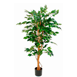 Kunstpflanze Ficus Benjamina H 1500 mm Produktbild