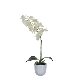 Kunstblume Nachtfalter-Orchidee weiß mit Übertopf H 600 mm Produktbild
