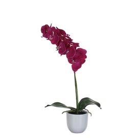 Kunstblume Nachtfalter-Orchidee lila mit Übertopf H 600 mm Produktbild
