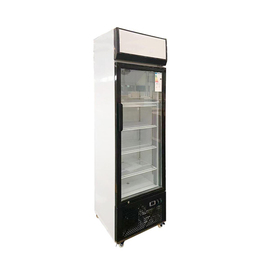 Getränkekühlschrank | 290 ltr | 600 mm x 590 mm H 1860 mm Produktbild 2 S