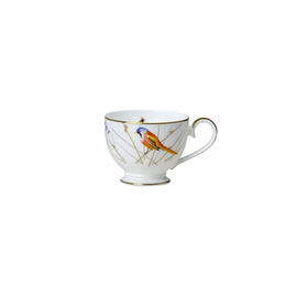 Teetasse REED Bone China 220 ml Produktbild